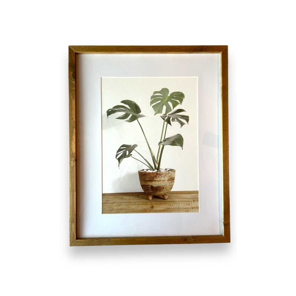 Monstera Deliciosa Plant | Wall Decor